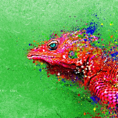 1920 x 1080 HD Wallpapers 1898